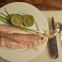Red mullet Cevice in preparation