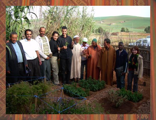 Potager de l'enseignant
