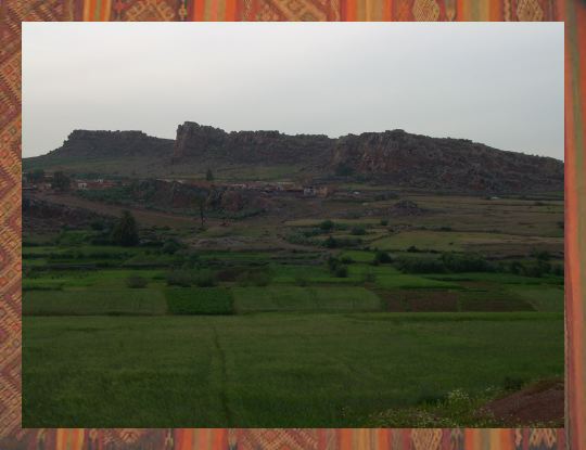 Cultures irriguées